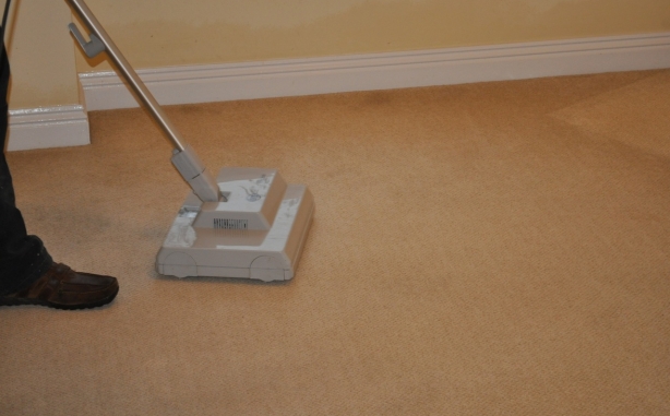 Sebo Duo Carpet Cleaning Agitator